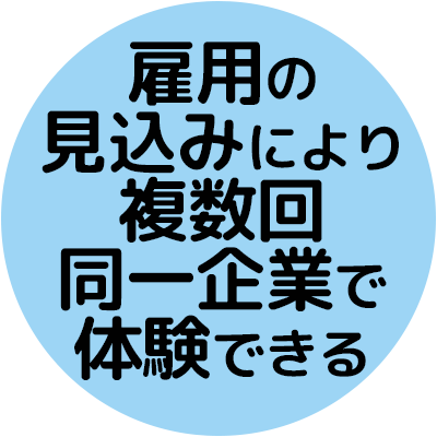 雇用の見込みにより複数回同一企業で体験できる