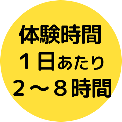 体験時間２～８時間